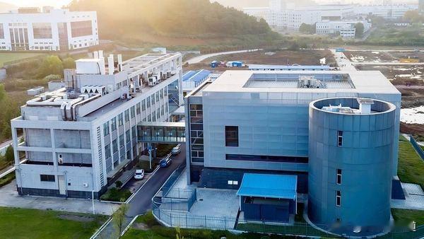 一、研究核心价值与突破
1. 首次证实