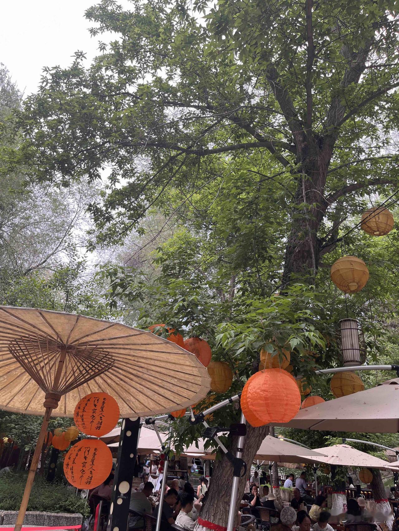 独坐窗前
听雨声潺潺
每一滴都是时光的低语
有茶有音乐陪伴
无人打扰

老歌的旋