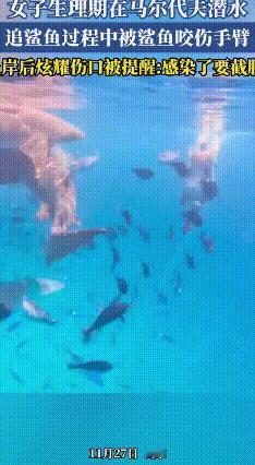 女子生理期戴银手链潜水，被护士鲨咬伤！这些教训要记牢
 近日马尔代夫一名中国女游