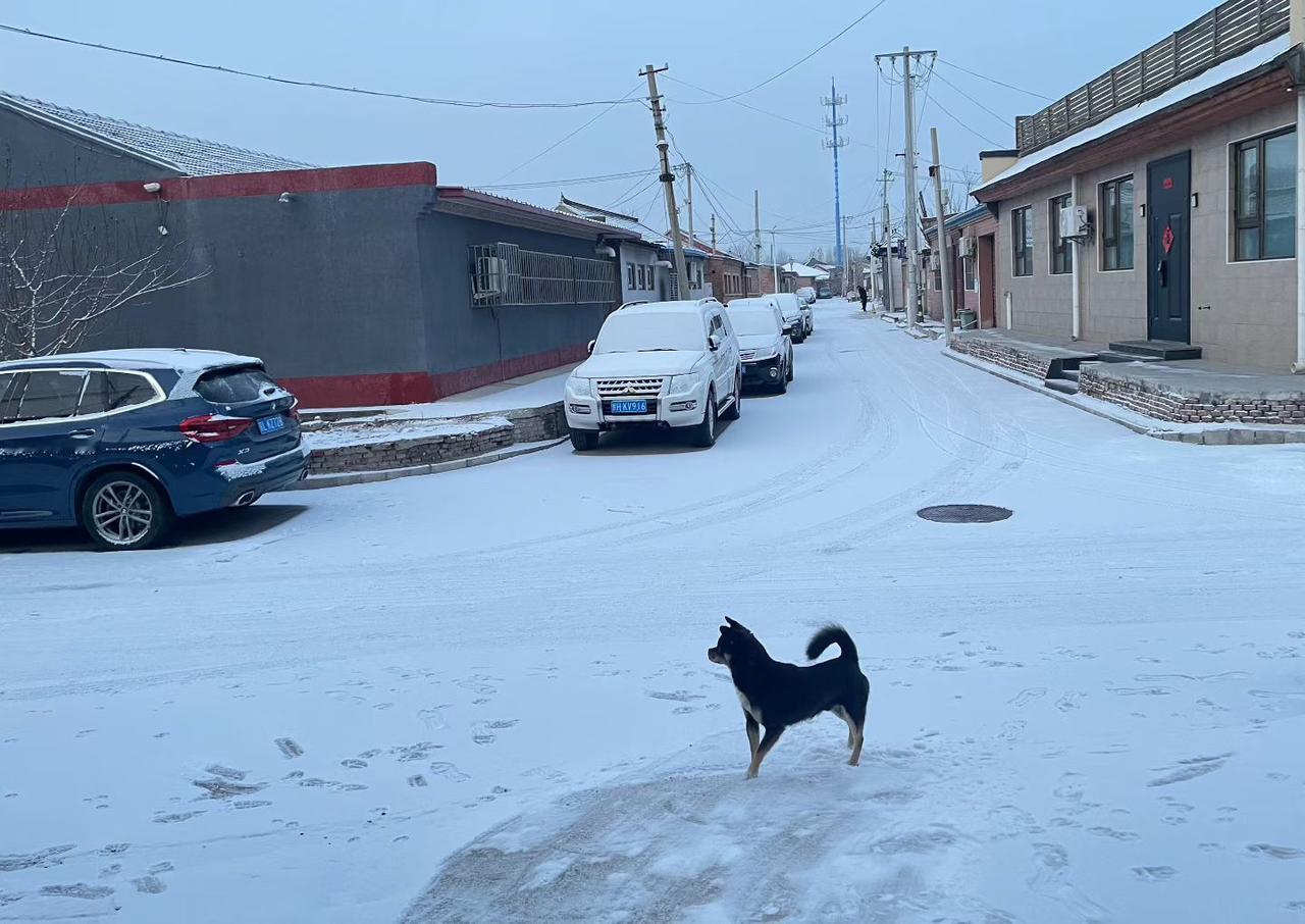 发一张户外照片看看