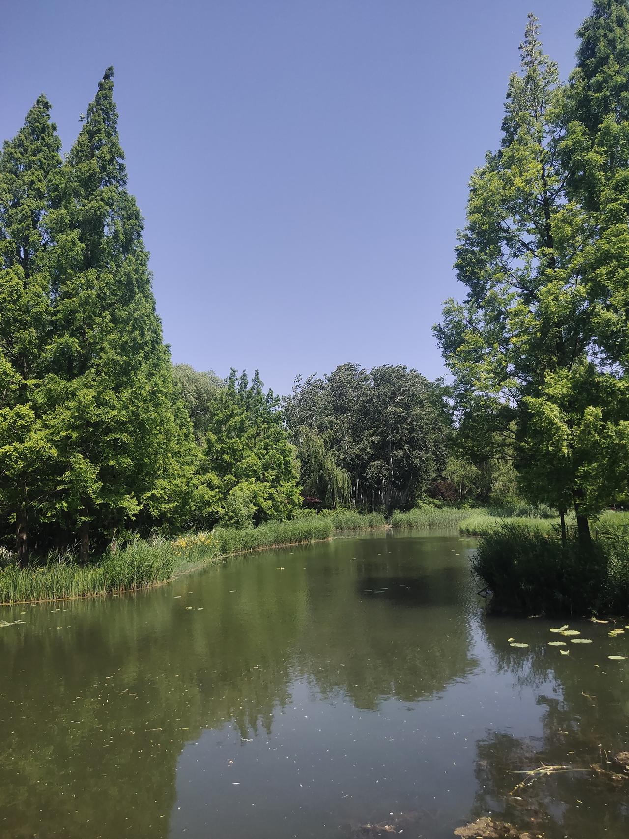 我觉得今年夏天应该不会太热。就拿近几年的气候情况来看，虽然整体有变暖趋势，但也不