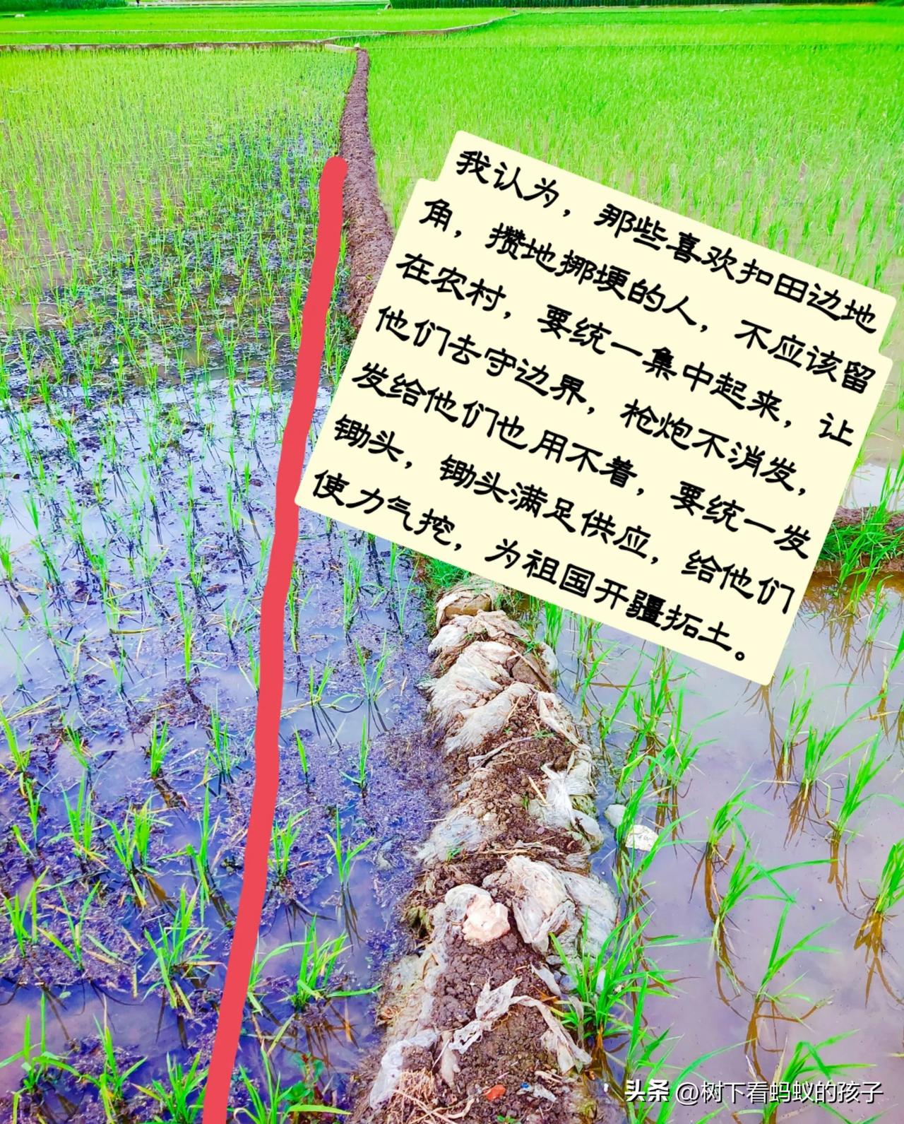 千万别占别人的宅基地和土地，会报应在子孙后代上。我三叔就是明显的例子 —— 绝后