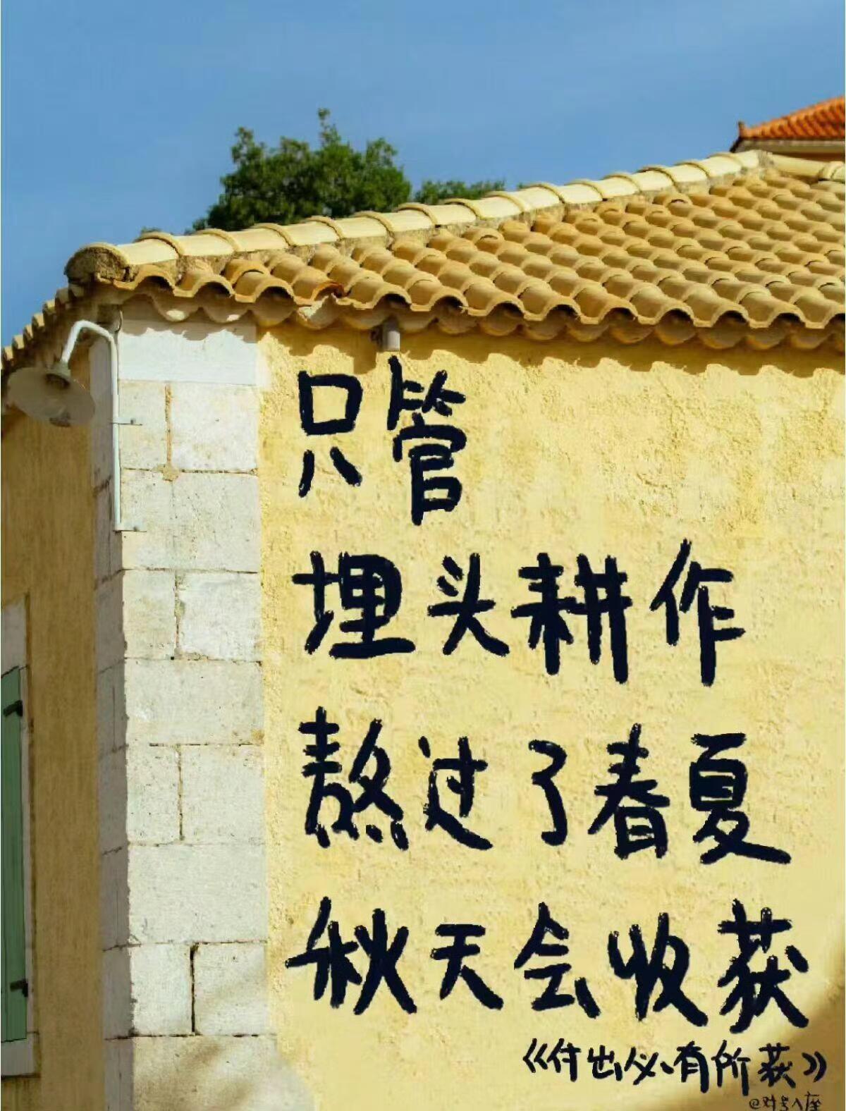 一个建议：用你那精神内耗的态度去搞学习、搞事业挣钱，然后用躺平和摆烂的态度对待人