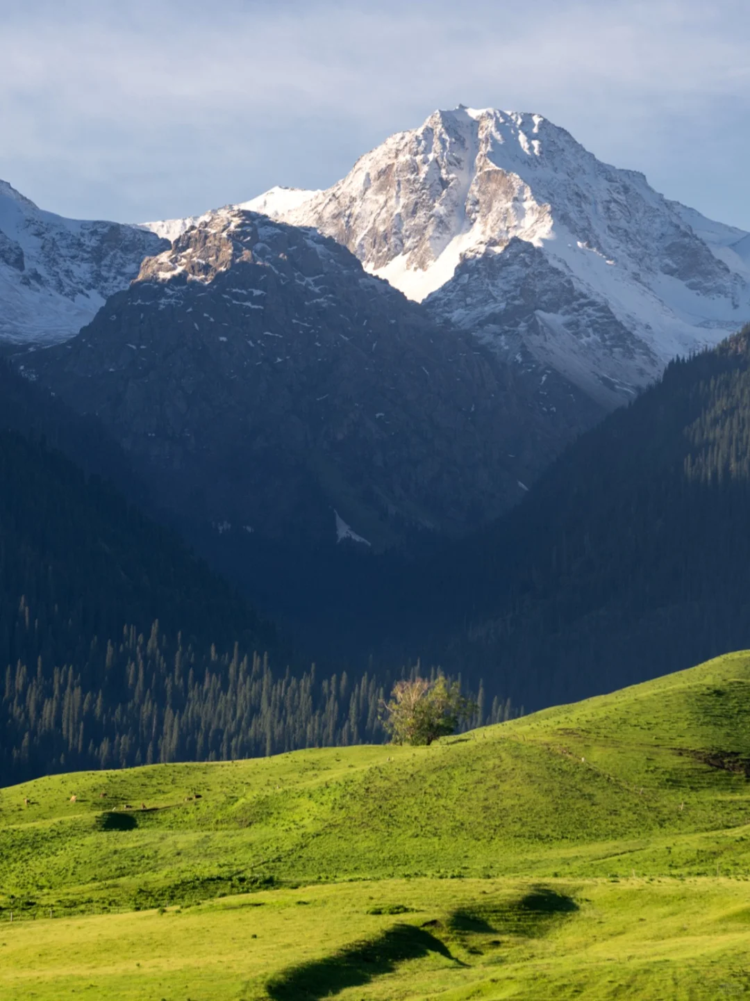 独库北疆10天末班车，阿勒泰伊犁一网打尽