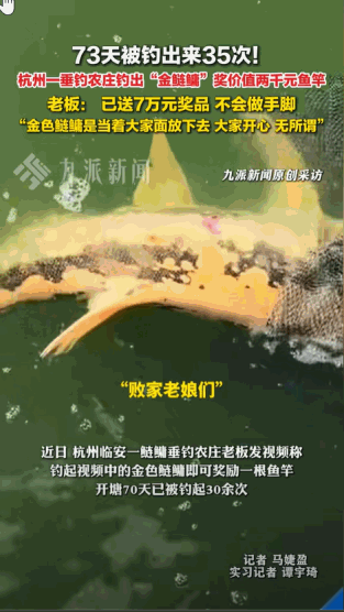 “这真是一条败家鱼！”杭州临安，一垂钓农庄花了6000多块钱，买了一条近30斤的