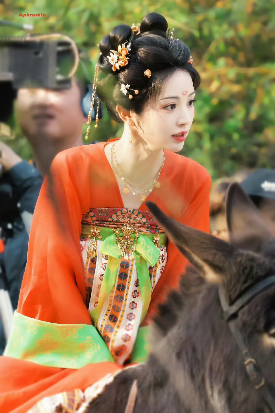 田曦薇子夜归这组图好美这个暑假能不能播 ​​​