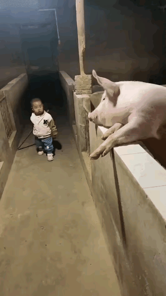 只要击中要害，弱小也能战胜强大。