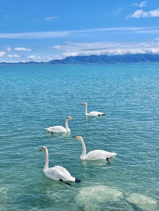 要拥有被讨厌的勇气