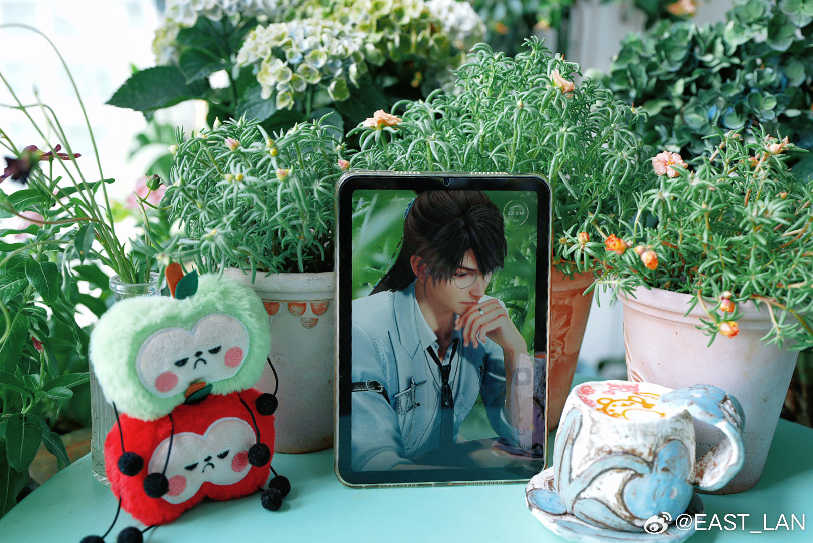 早✨ᜊ(ˆ. ̫ . ꜀ˆ)ᜊ太阳花配太阳果。本来以为今天要开了，结果没开，可能