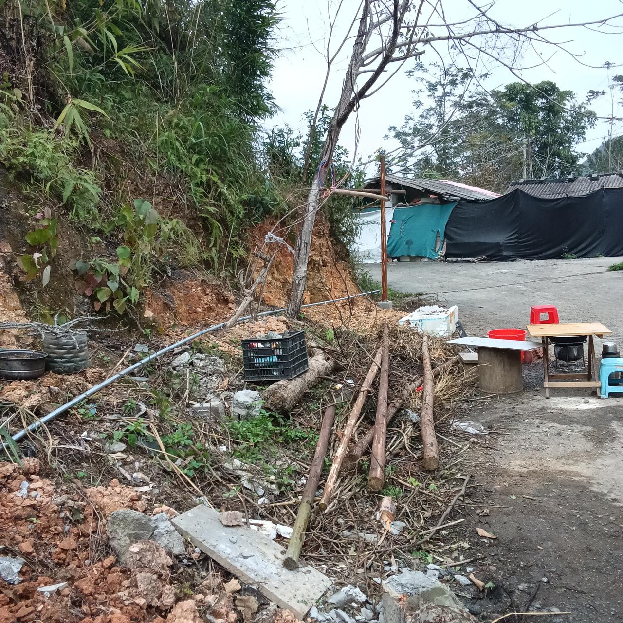 北京大哥特立独行
坚守巴马山林十余载

在广西巴马的甲篆镇坡月村，有一座小山叫云