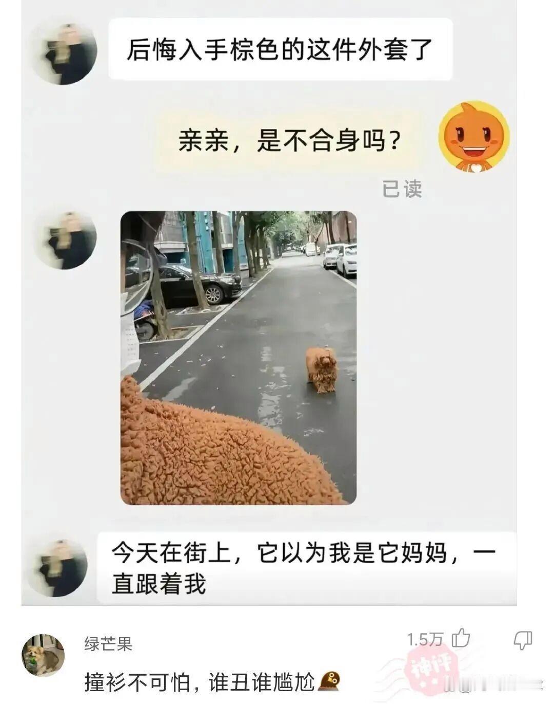 真尴尬，精心挑选的外套，出门竟然和狗子撞衫了~ 
