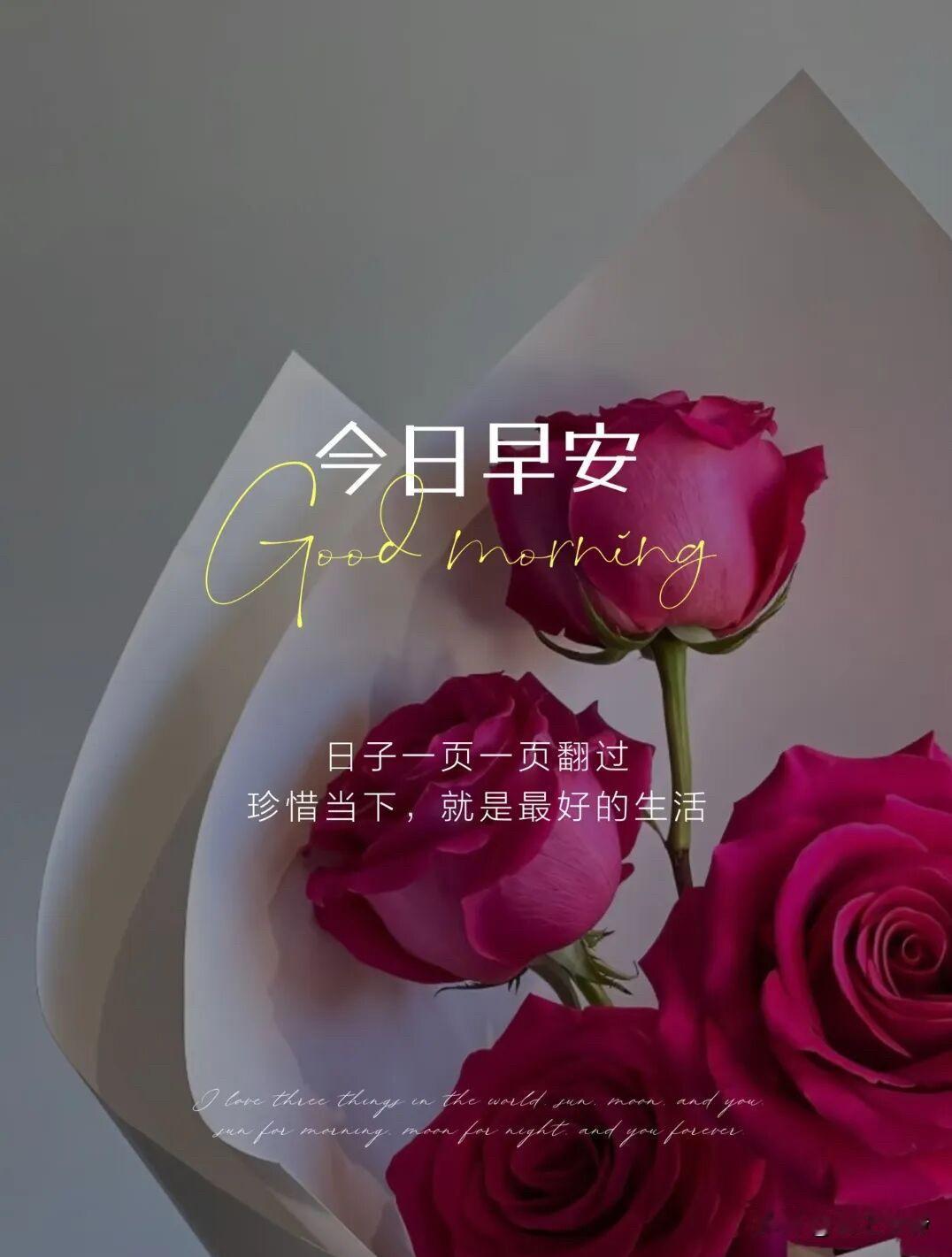 🍎 ²⁰²⁶/₀₄.₂₆🧨ᵕ̈ 🐎🍃🌻
🍃𝐆𝐨𝐨𝐝 𝐌𝐨