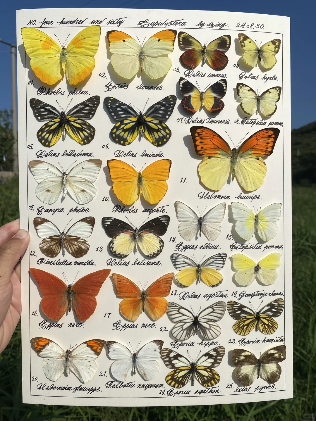 喜欢明亮的色彩吗