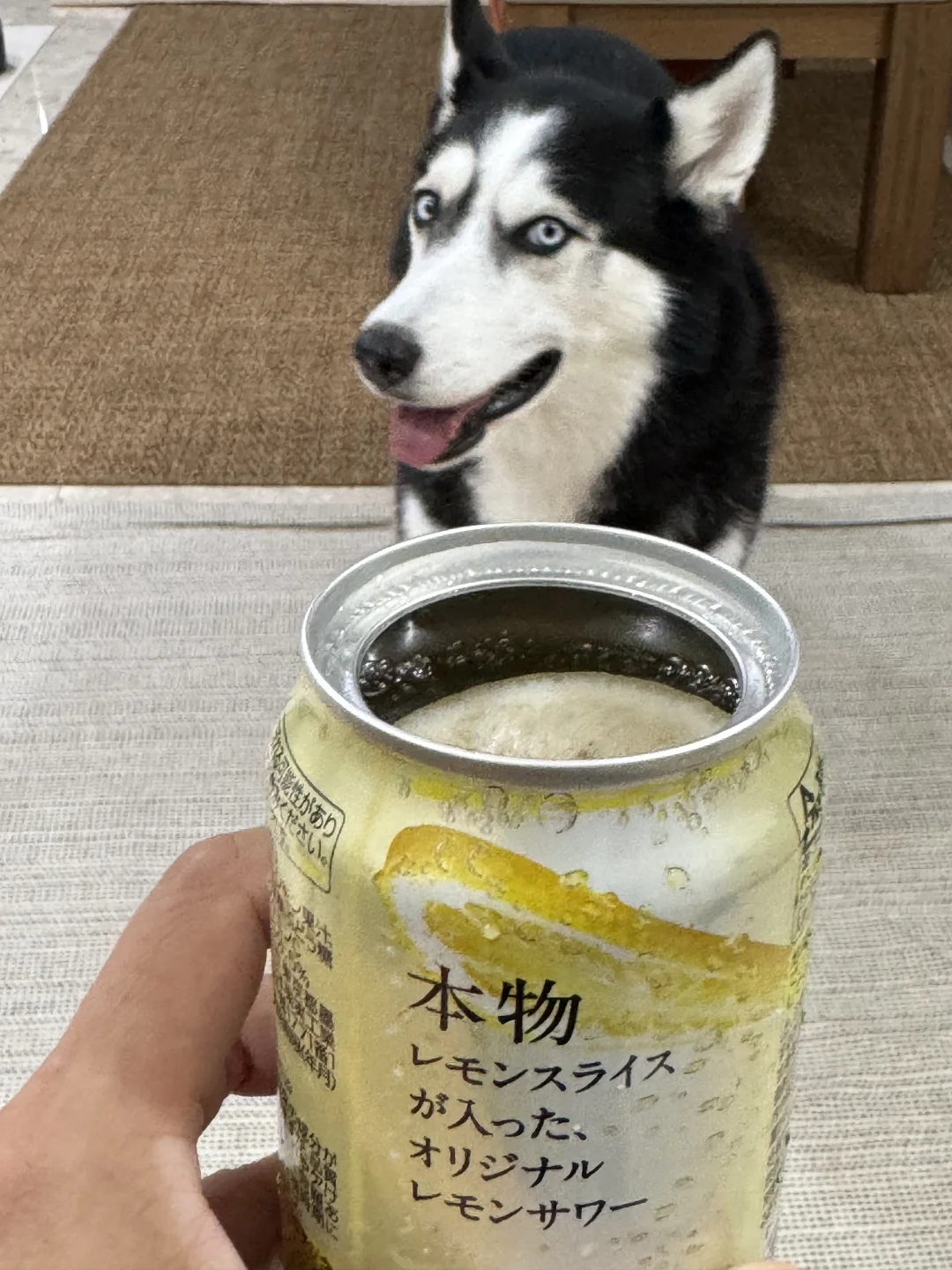 福妞说周末了要喝点9️⃣