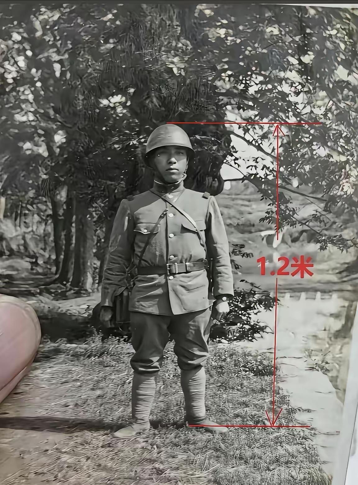 侵华日军身高只有1.2米？这恐怕是故意矮化他们形象了，现实里的日军估计不止1.4