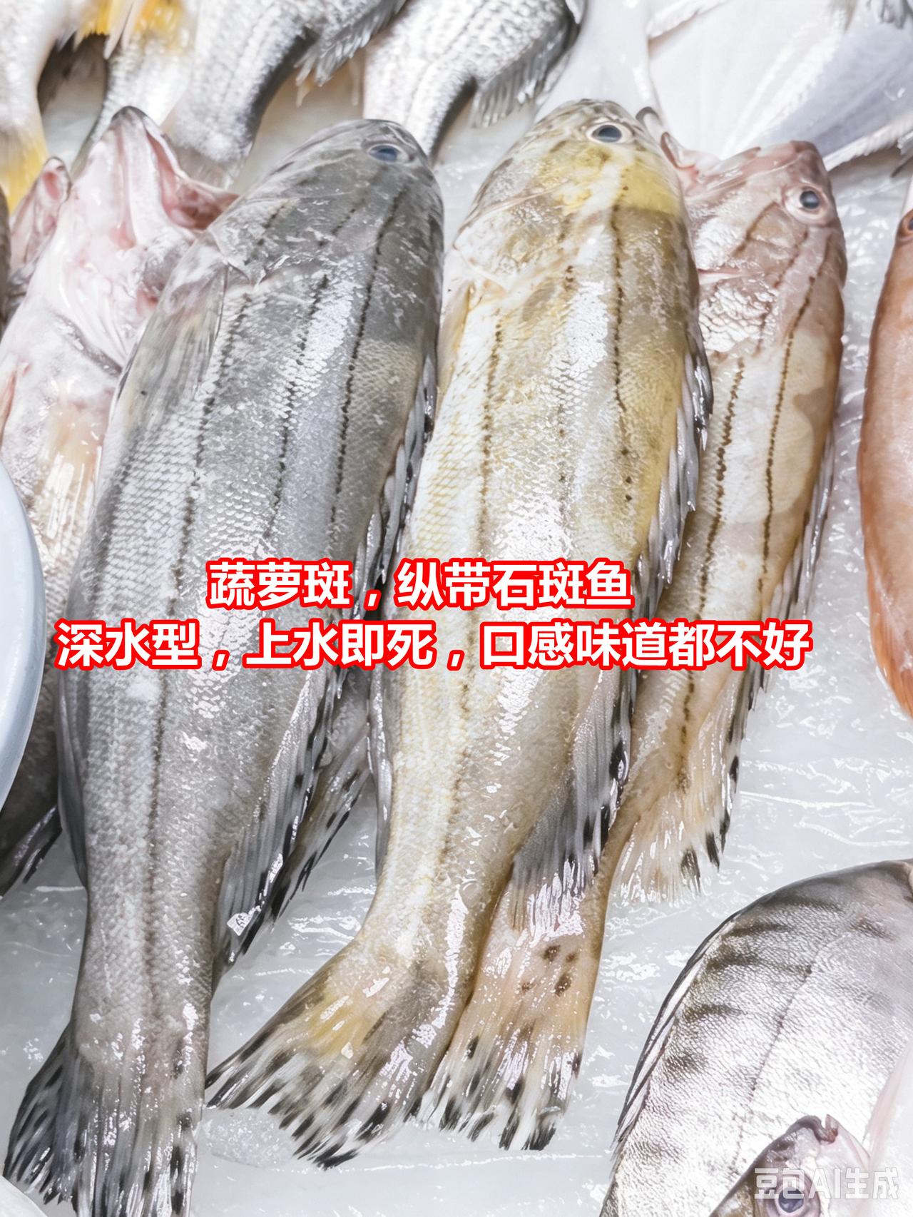 早市认鱼蟹，纵带石斑鱼难吃，死三点蟹能吃。

1、蔬萝斑，纵带石斑鱼，深水型，上