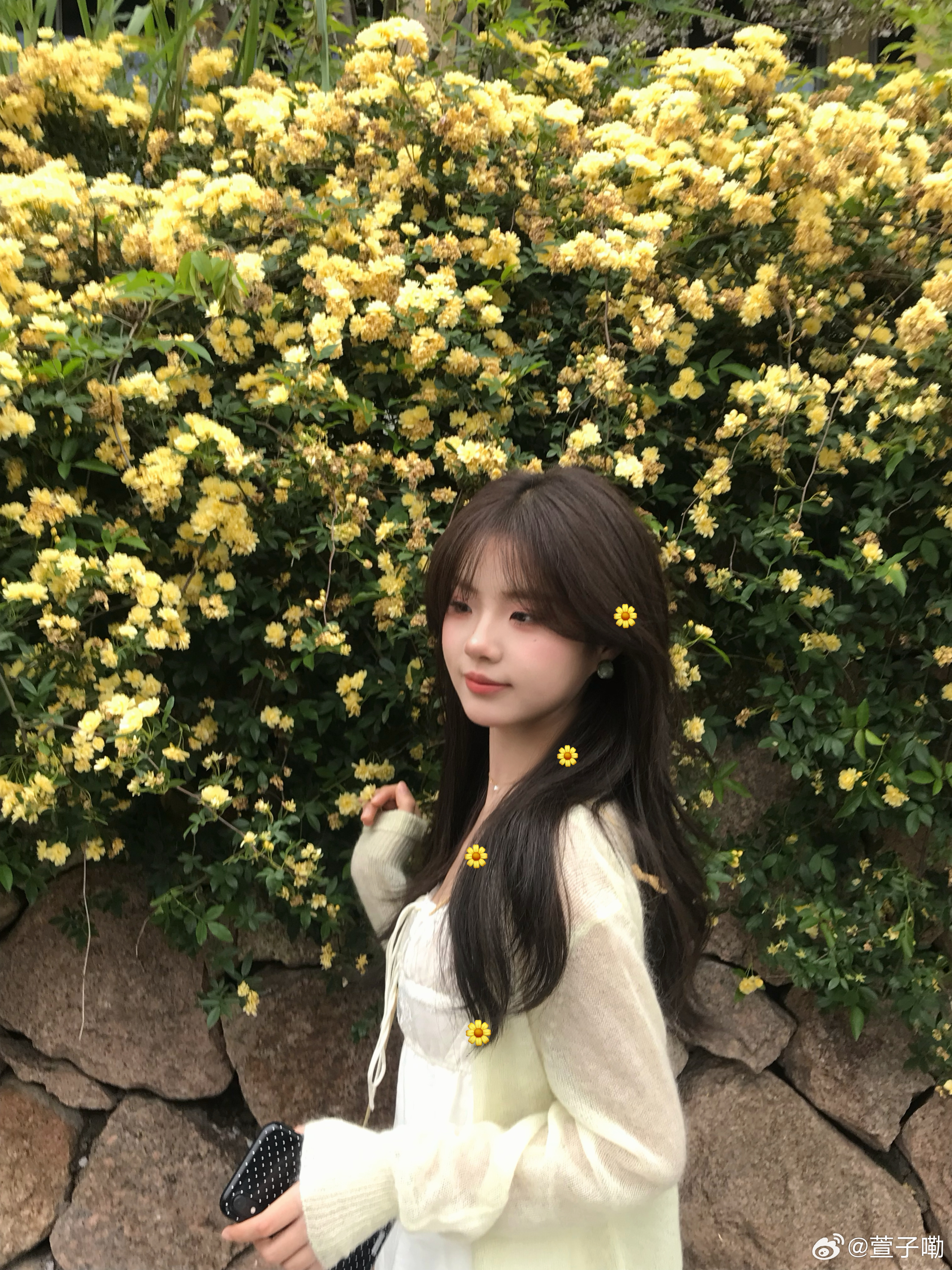 今天是小黄花🌼~ 