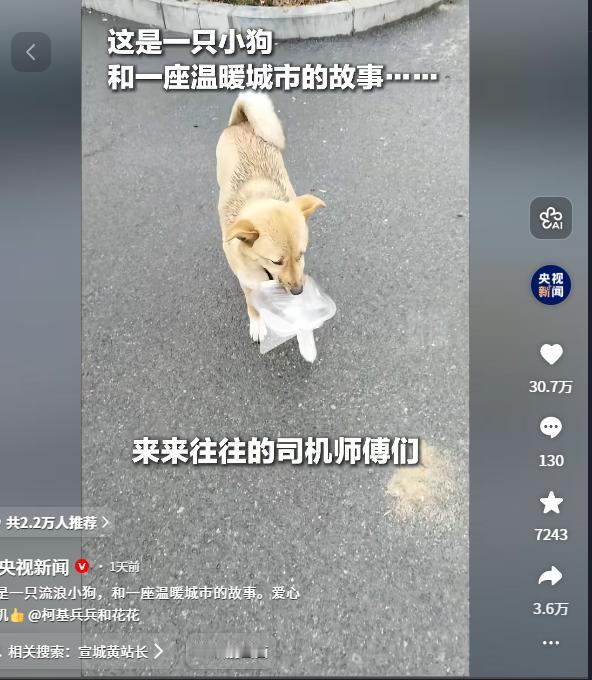 53人接力救“黄站长”，宣城高铁站的暖心救援，平凡人让爱燃爆全网

根据央视新闻