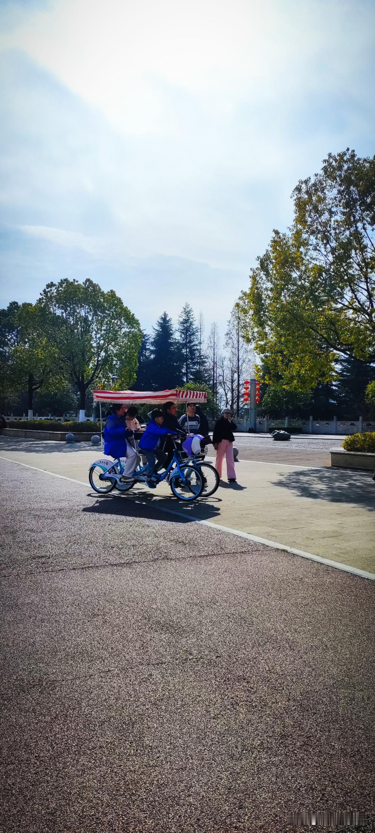 天南地北大拜年过年了，湿地公园里的各式游览车都出动了，一辆接一辆...此时，合家