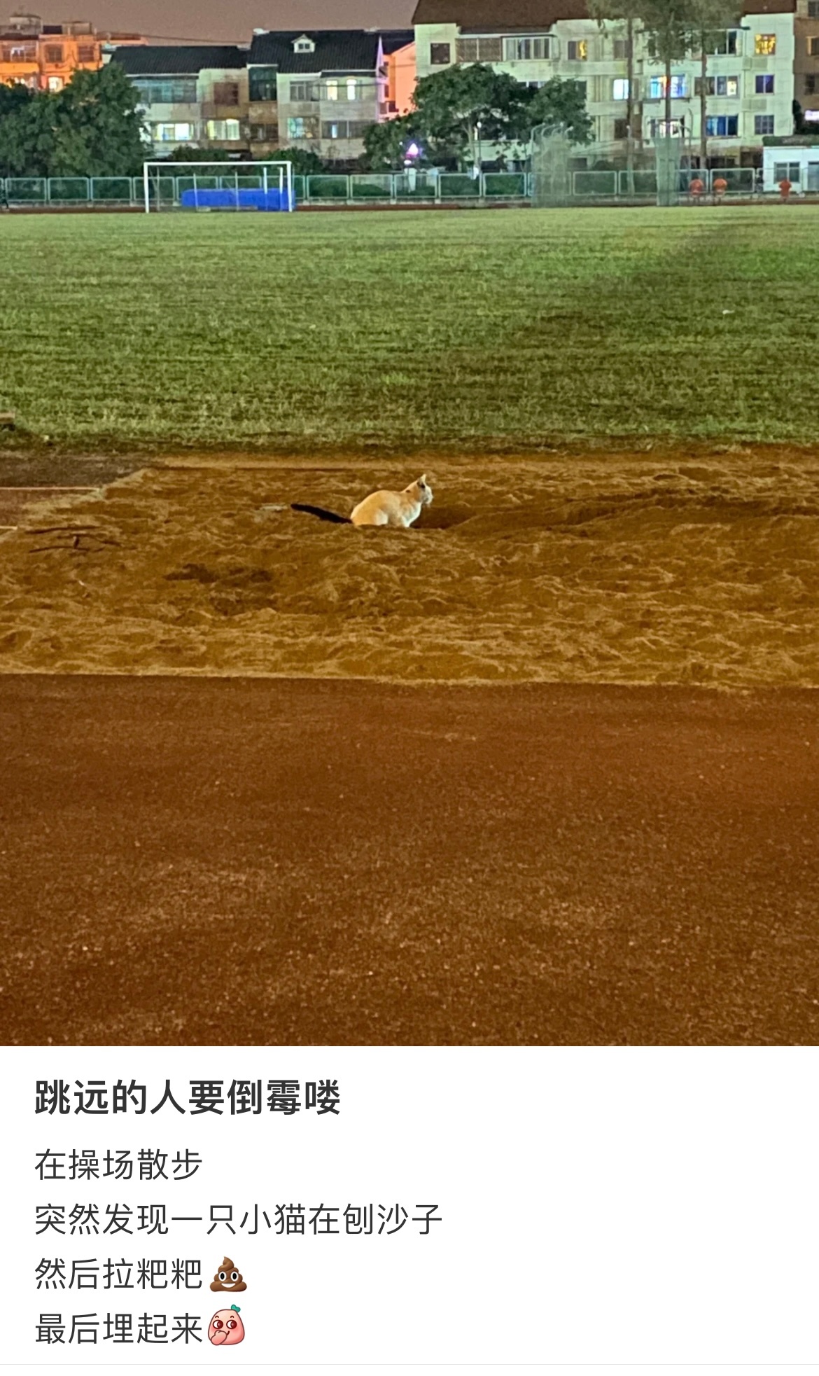 下一个跳远的人要倒霉啦 ​​​