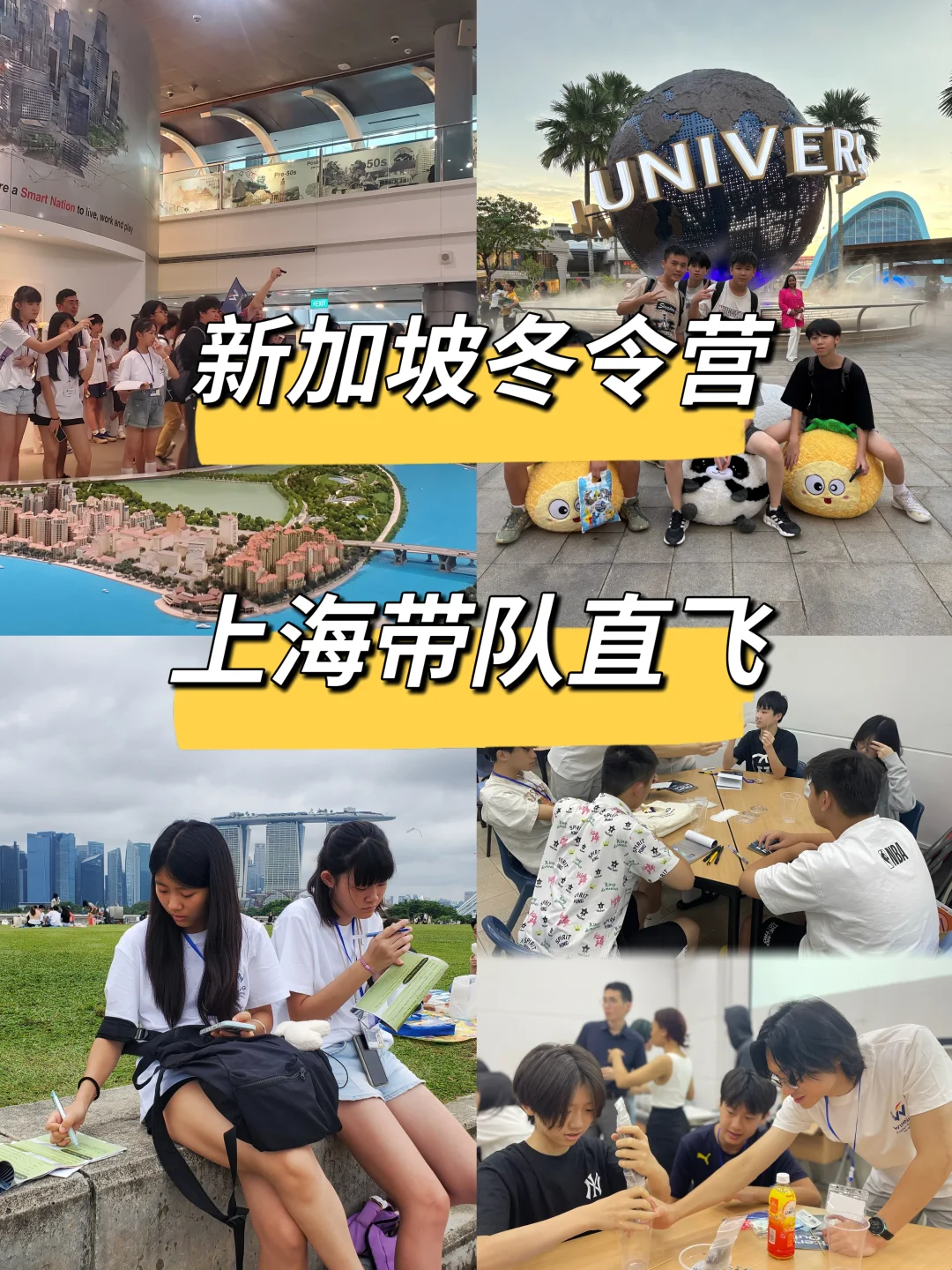 新加坡2026全英冬令营✈️上海带队出发