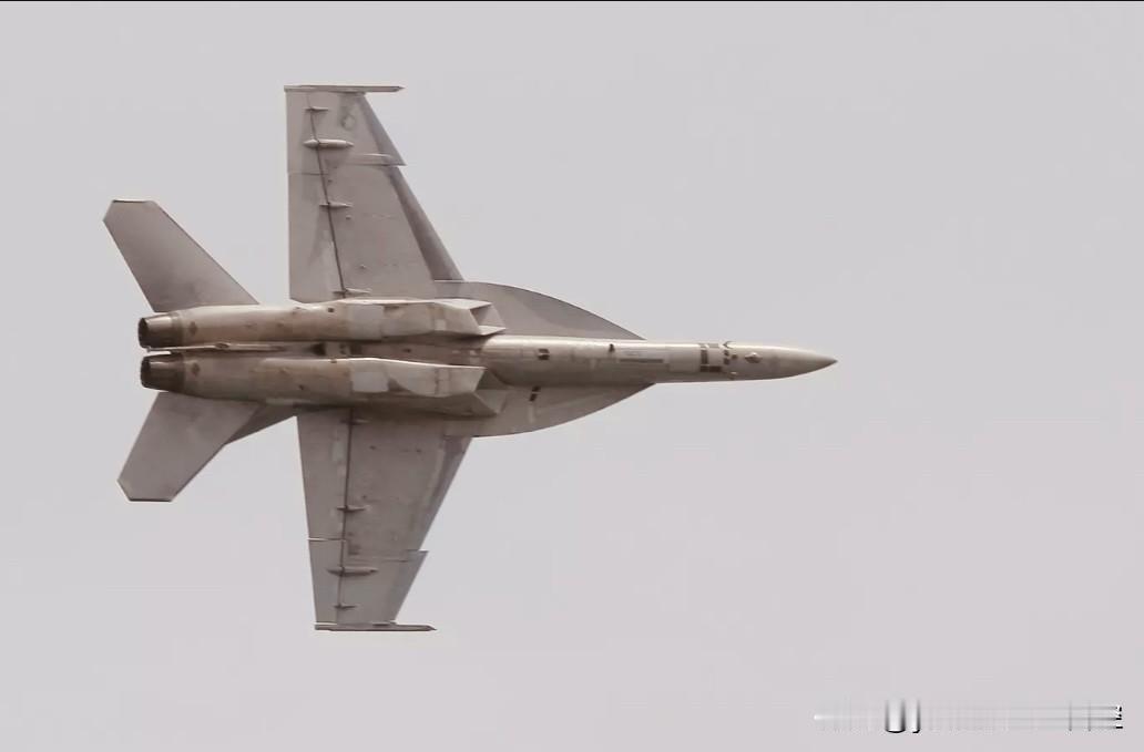 八月20日上午，美海军航空兵一架F/A-18E“超级大黄蜂”战斗机在弗吉尼亚海岸