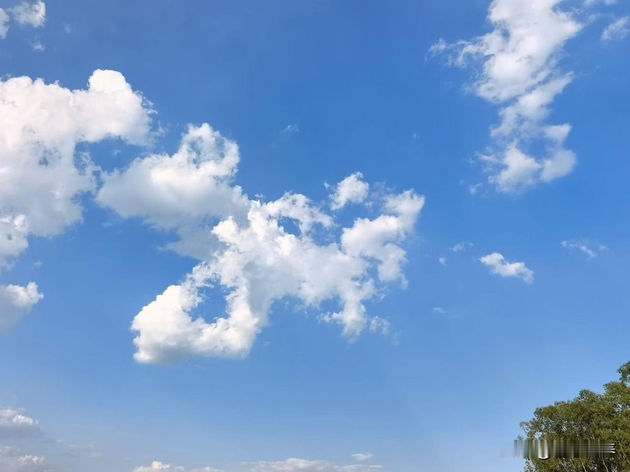 你吃得再好，也可能悄悄营养不良
 
一直以来我们都默认一个道理，身体缺营养，就是