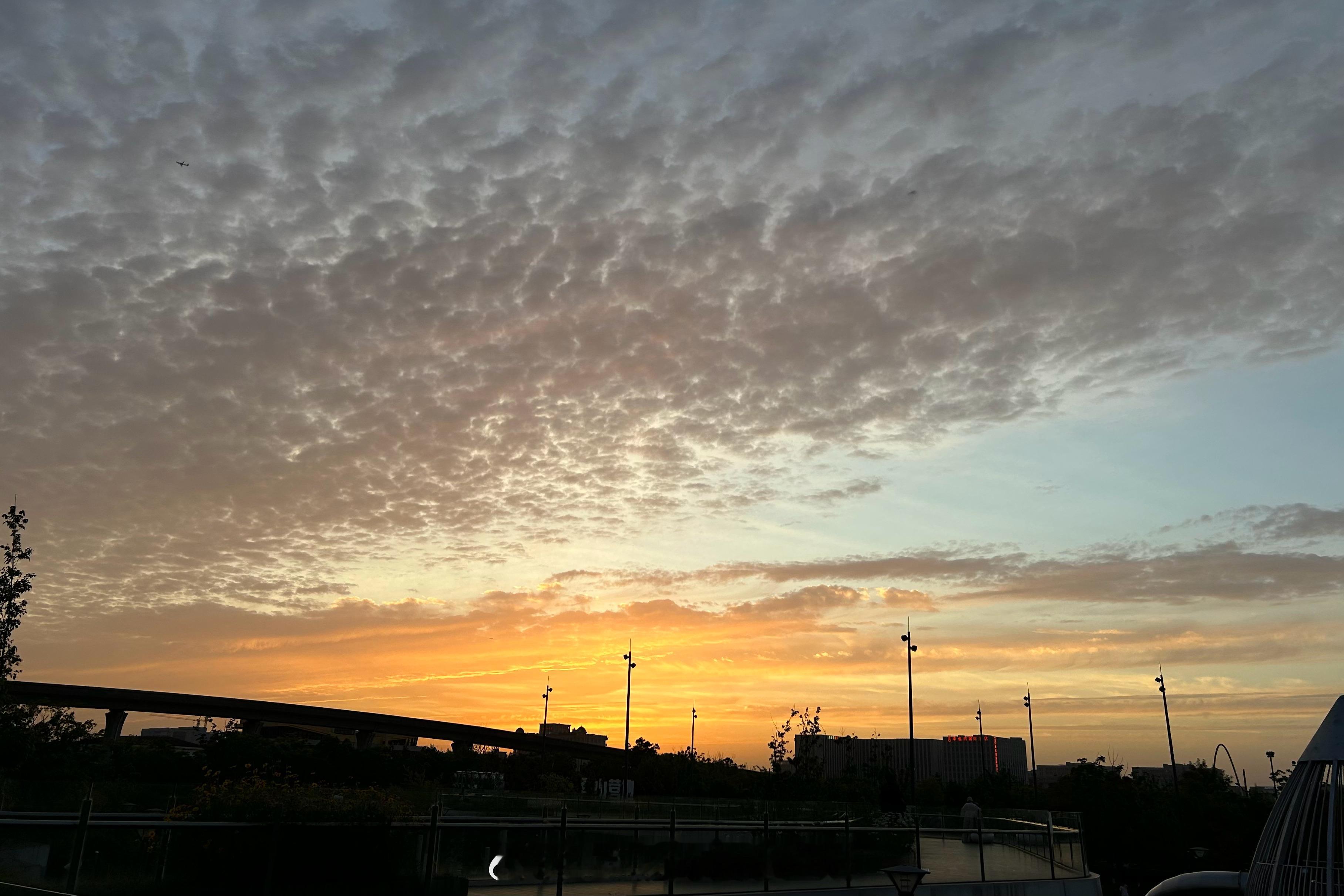 #上海晚霞#蟠龙天地记者发来报道 ​​​