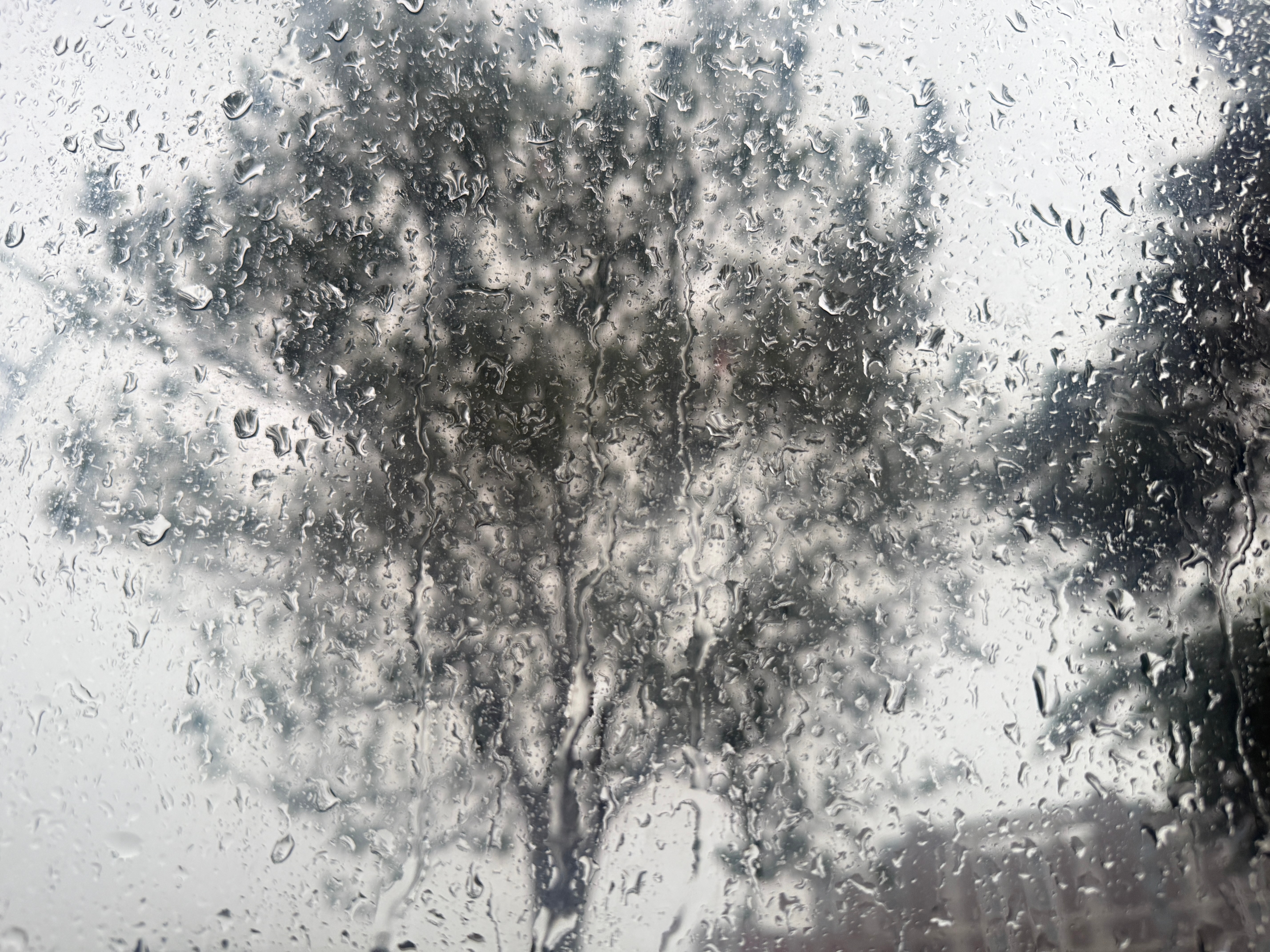 雨天☔️早上好☀️早安卷妹的唠嗑