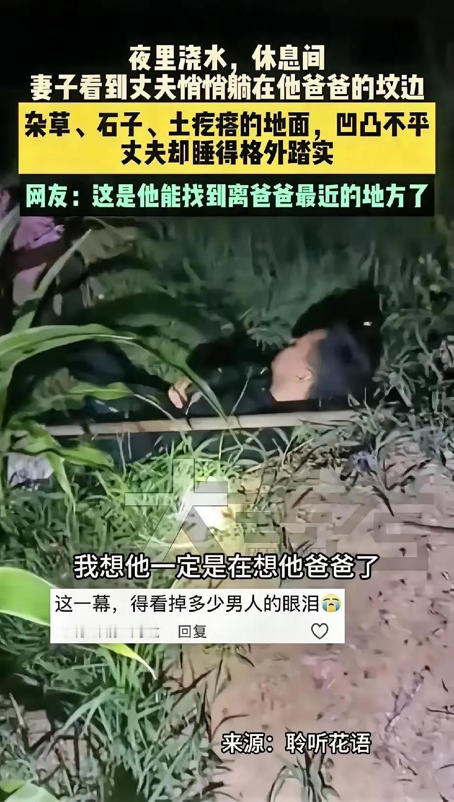 深夜浇地的汉子累到极点，一头扎进父亲坟前的草丛里？

不是找个舒服地儿歇脚，是身