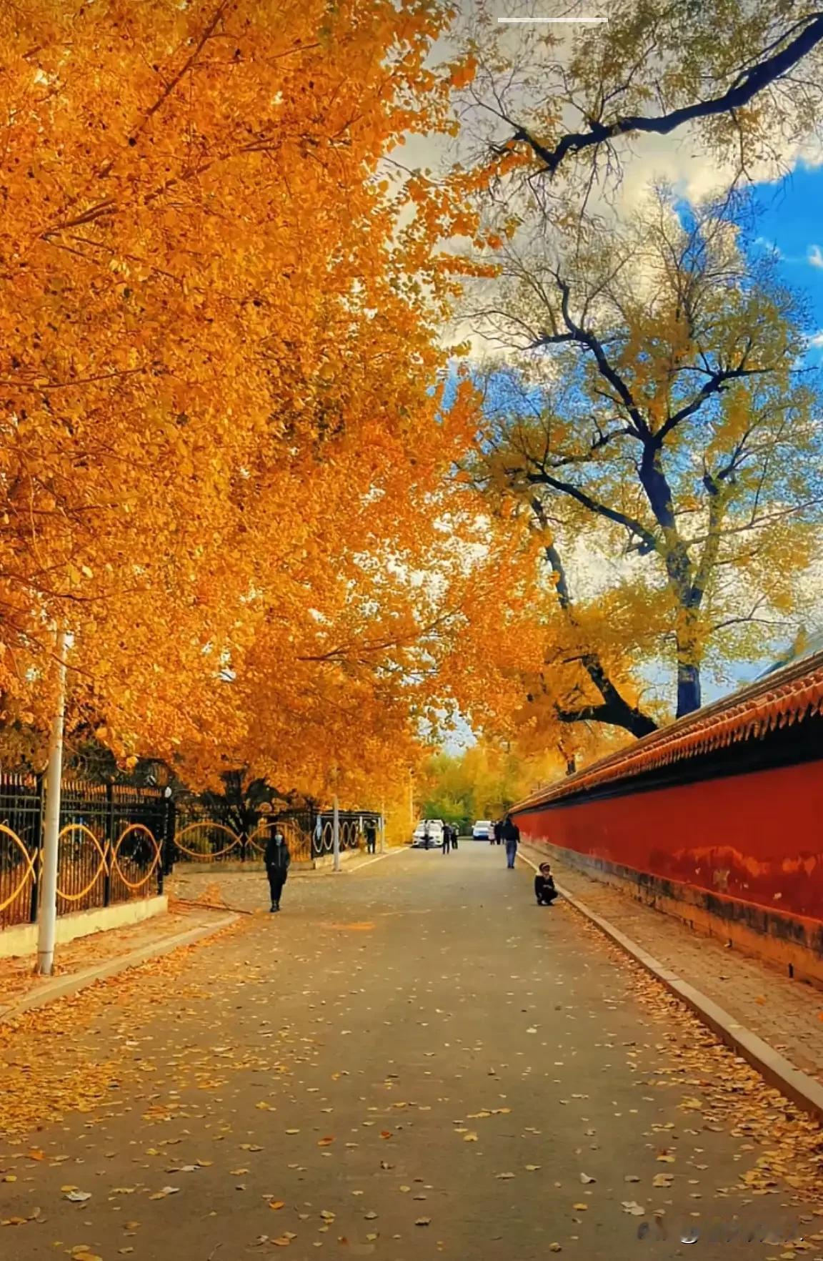 人的生死乃是自然现象，有生必有死，这是人生的必然归宿。
如今，不少老人到了晚年，