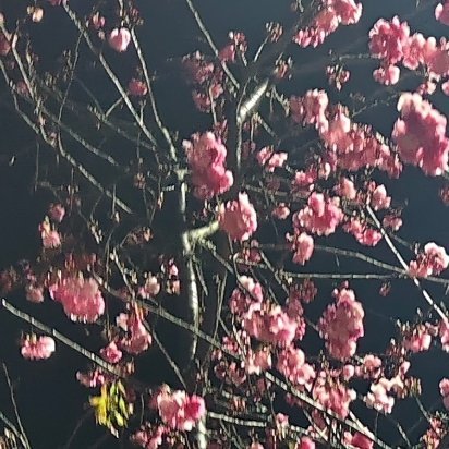 每日一善[超话]每日一善 中国的命运与世界的命运紧密相关，我们要把弘扬爱国主义精