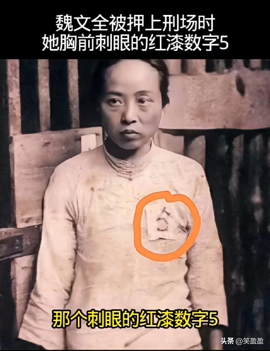 1937年12月23日，杭州街头飘着细雨，魏文全被押上刑场时，围观的百姓看见她胸