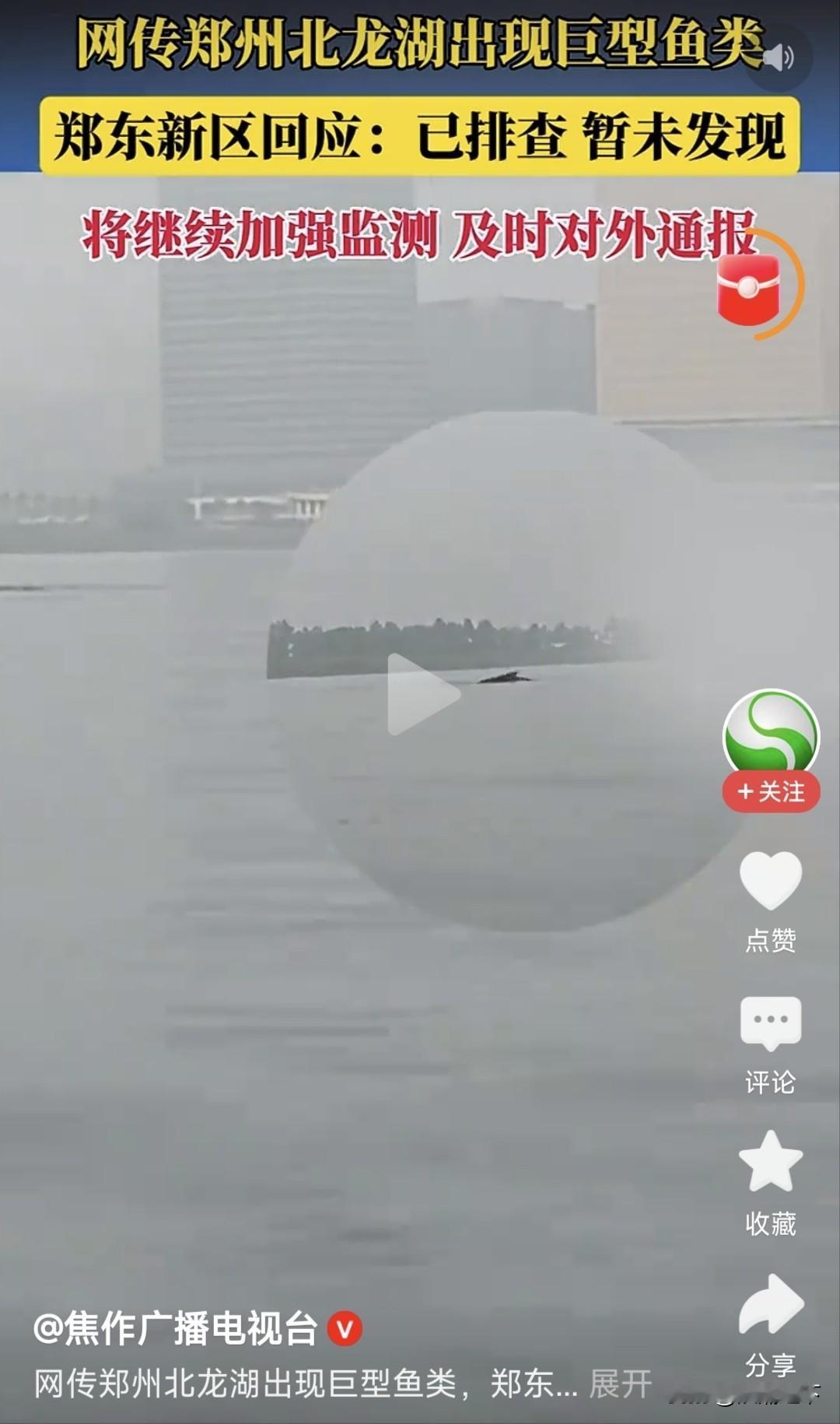 看到郑州北龙湖发现大鱼的新闻感觉想笑，一条鱼🐟上热搜，要么是大家凑热闹，要么郑