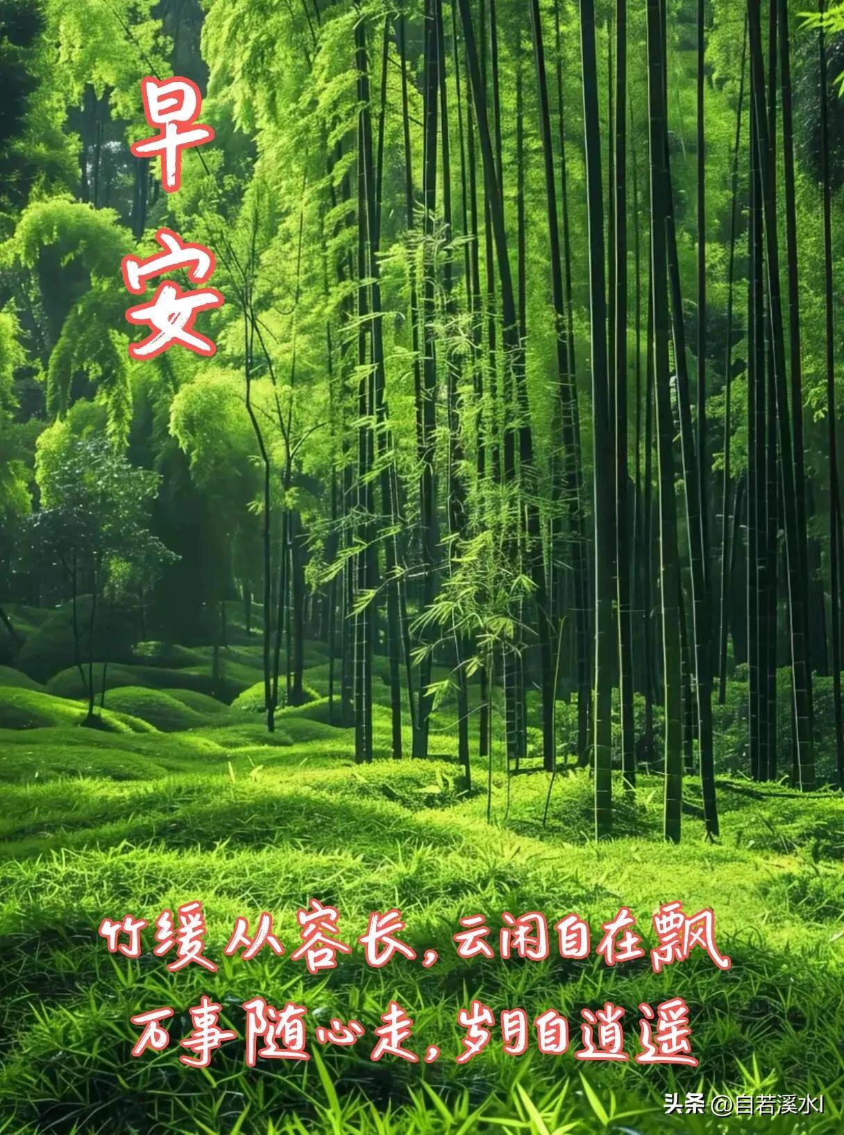 清晨的微风替我抱抱你，新一天也要平安开心。