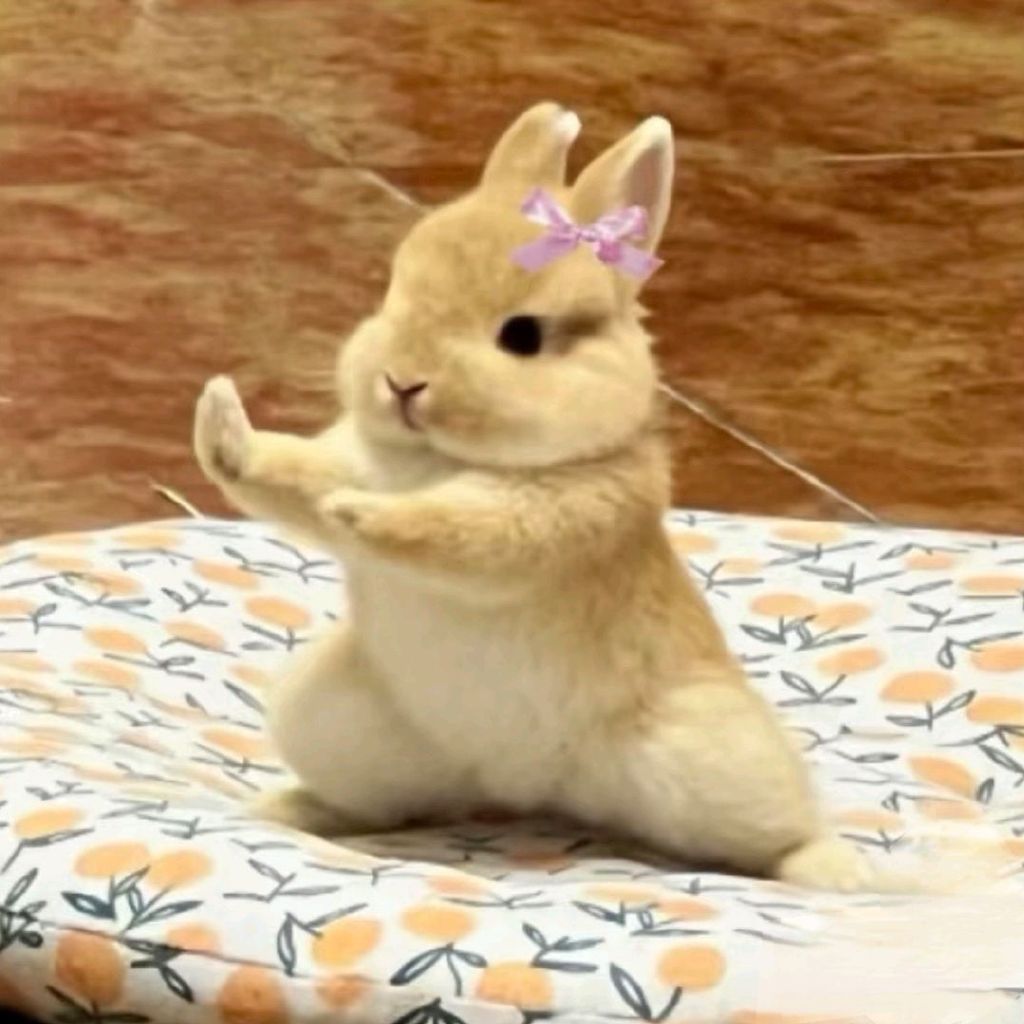 抖🎶fh👗里的那个sp和zh都麻烦大家jb一下