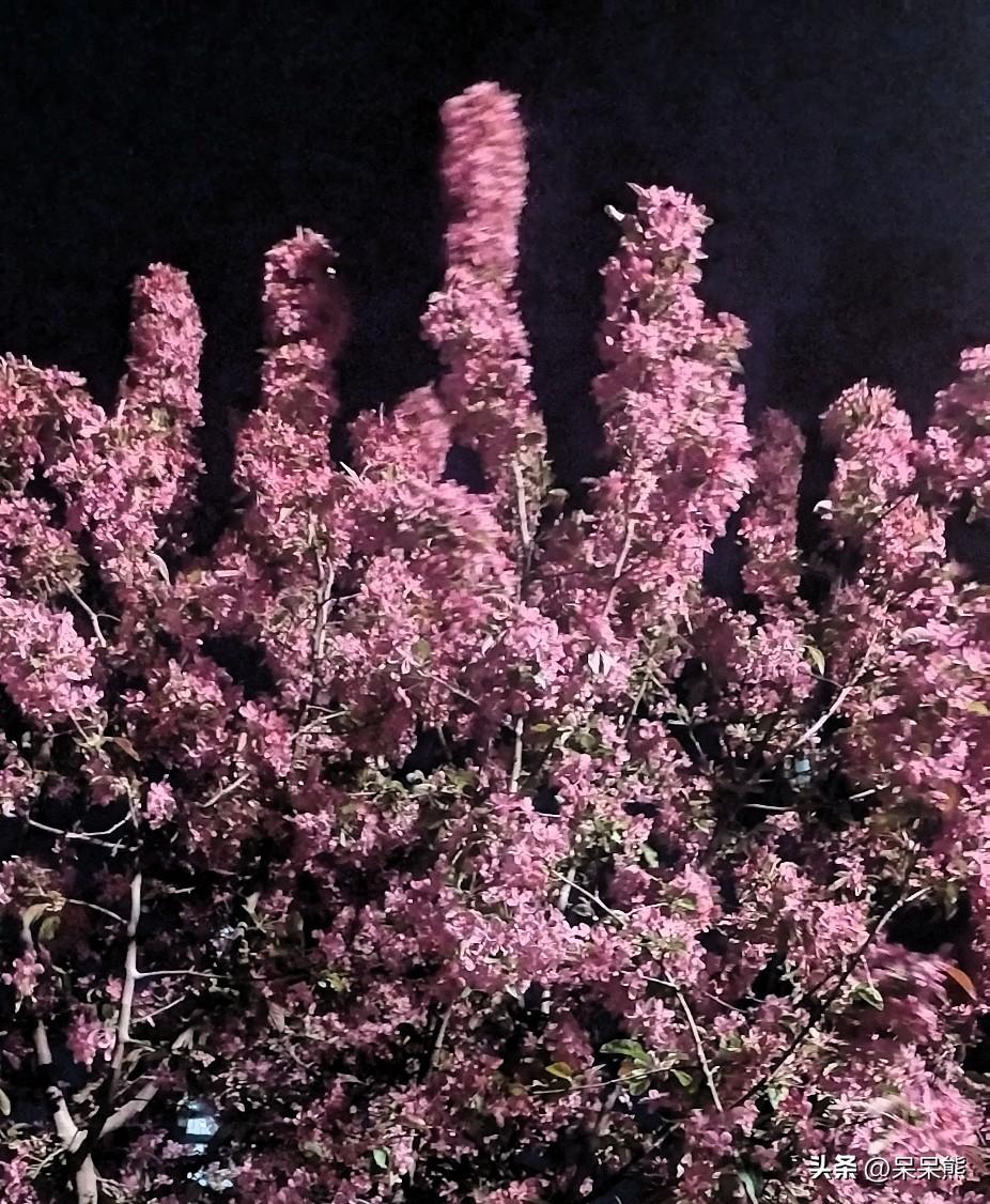 作为普通人，我觉得最可贵的就是靠谱、踏实、有良心。

做事不耍滑头，答应别人的事