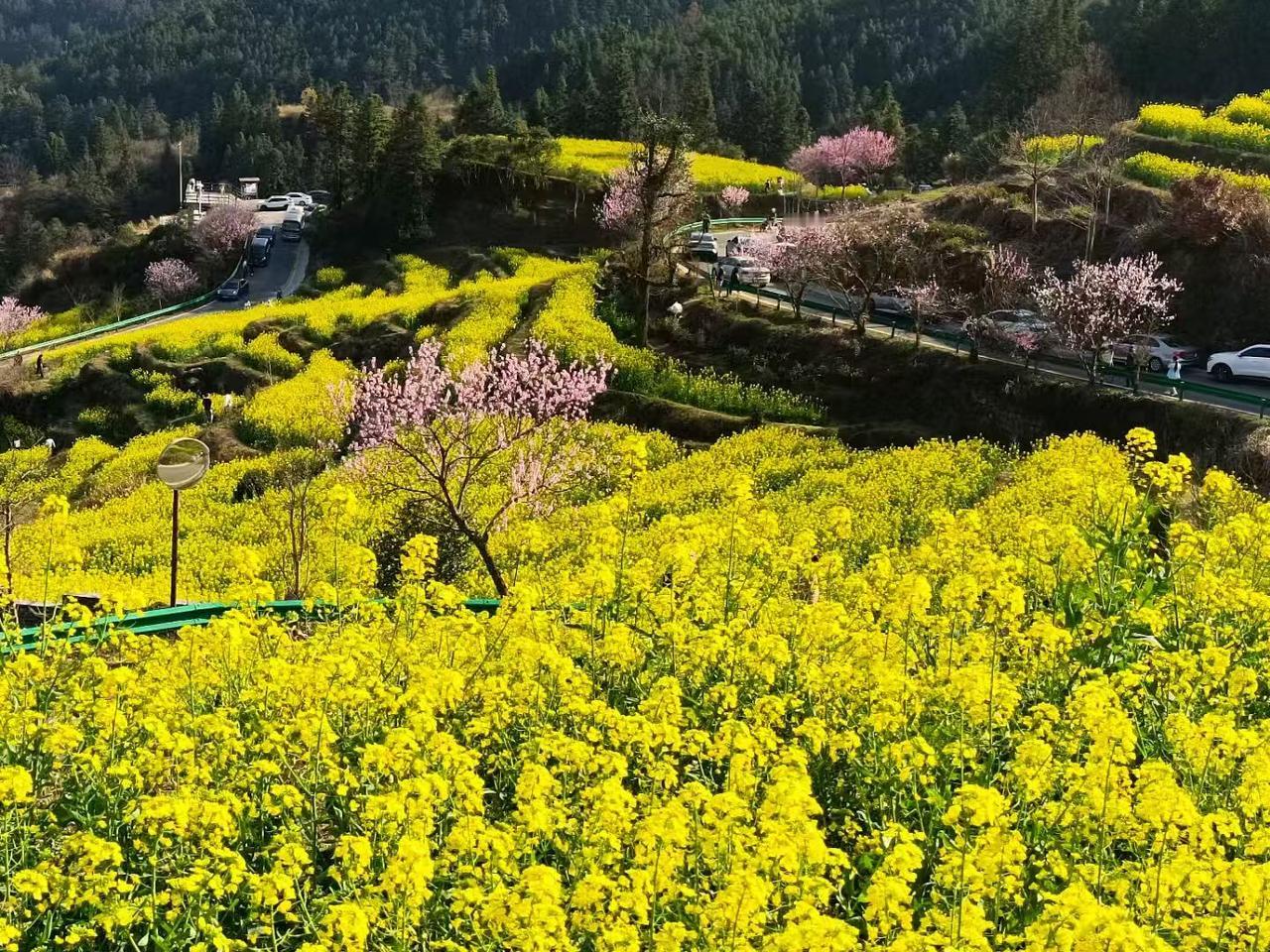 投资以前可能是选修课，但在这个印钞机轰鸣的时代，它已经变成了必修课。

不学投资