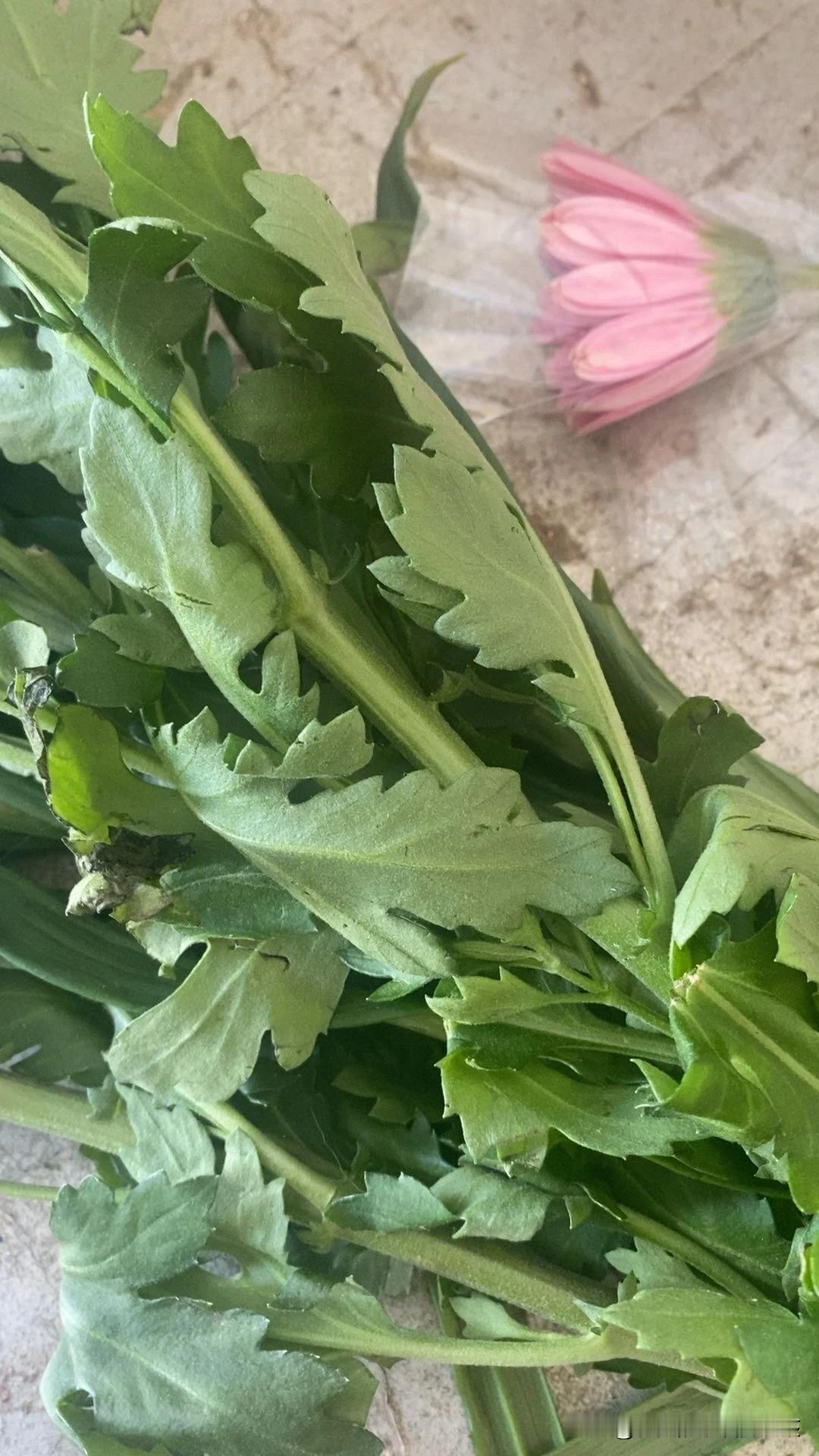 为了十几块钱，真是费尽心思。就想占点小便宜，真是什么样的人都有。
本来那么多鲜花
