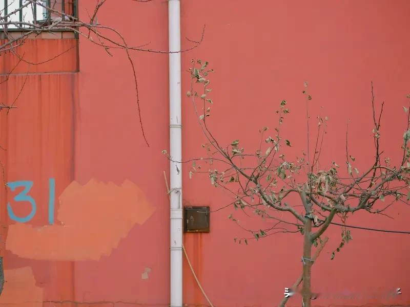 热点话题的实效性有多长时间? 热点话题的实效性时长差异很大。就金融市场热点事件来