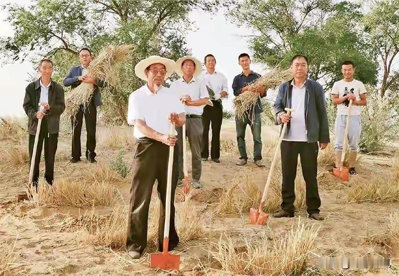 西方媒体感慨的背后，是中国人70年治沙的执着坚守
 
西方媒体：中国不可怕，可怕