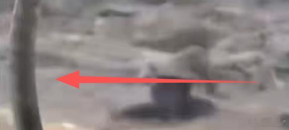 地狱来信：妻子血肉无存，孩子尸首被扫射，自己中弹翻滚不想离开！加沙信息已经开始犹