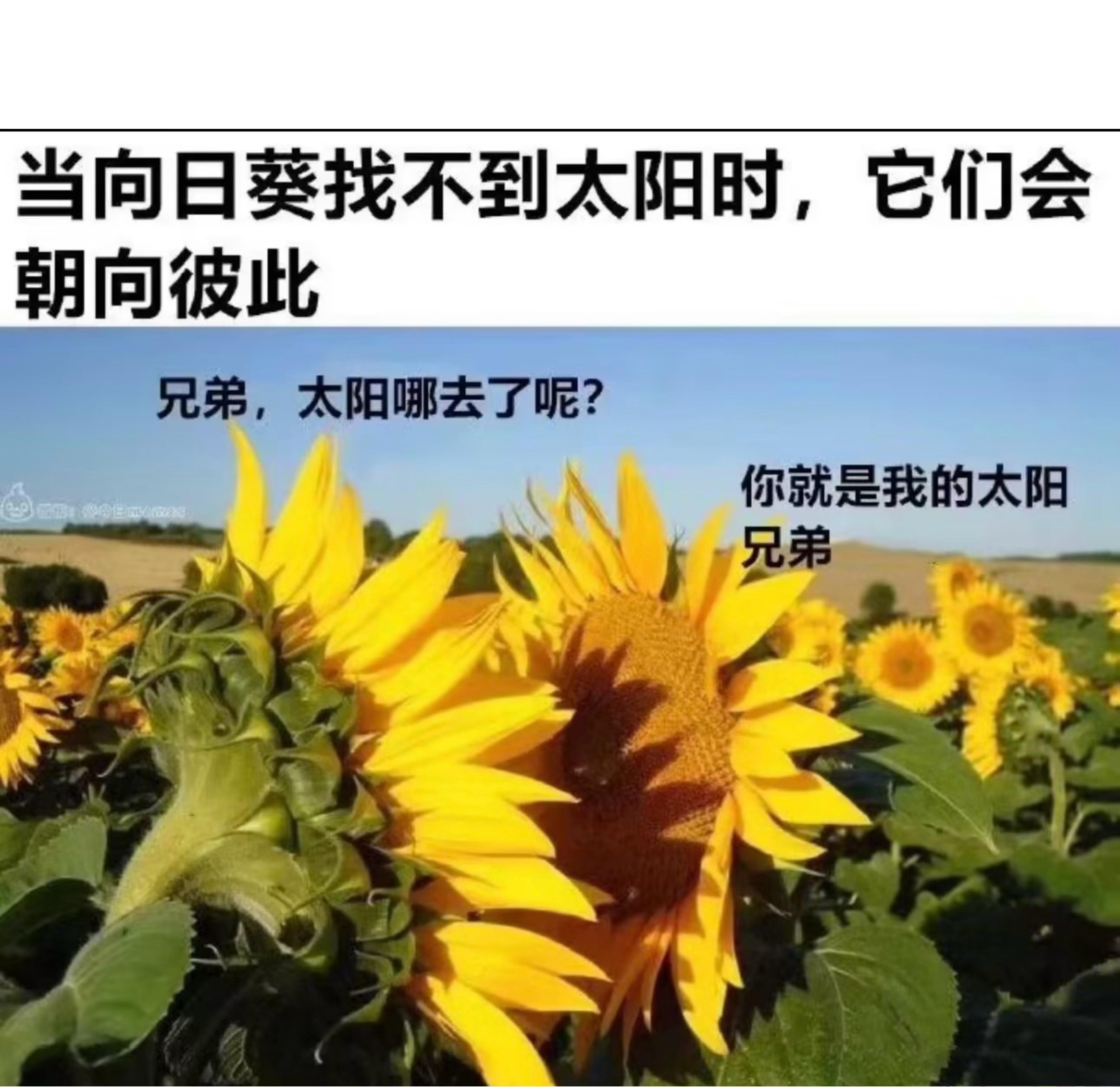 啊啊啊啊啊啊啊笑的我脑子疼！ ​​​
