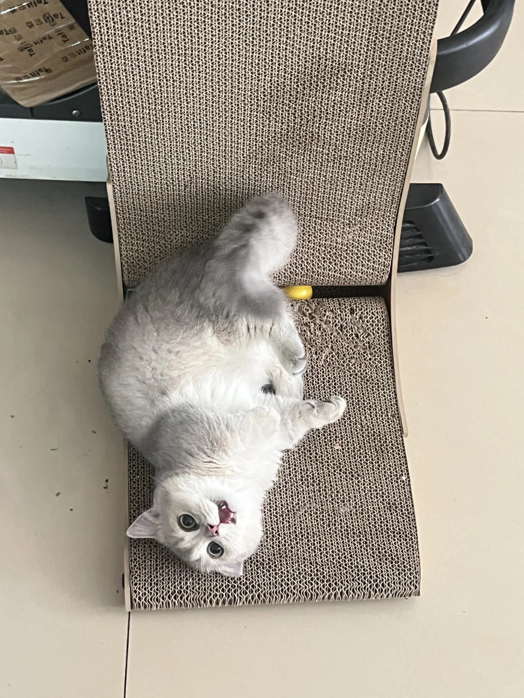 小姐姐怎么碰瓷啊