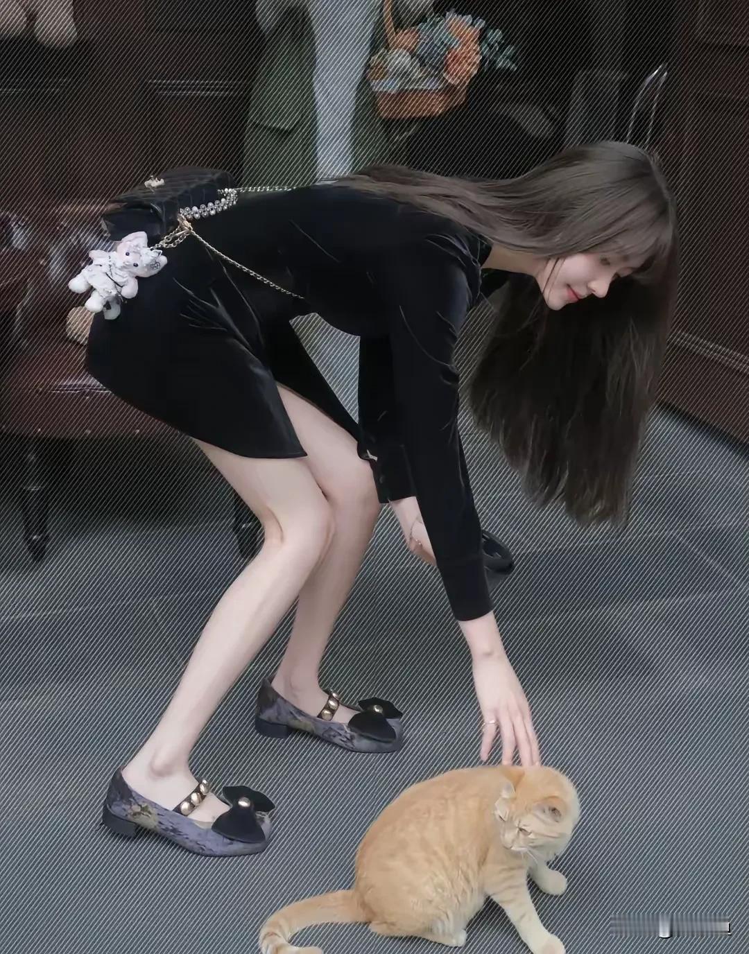 #当你真正开始爱自己,会发现什么?#猫也温柔起来了