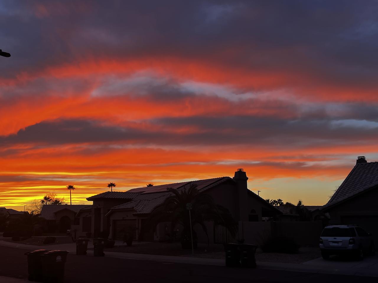 杨新润： (新润 赏趣）

    一
春风偷情，连累青山戴绿帽，
夏风贪欢，撩