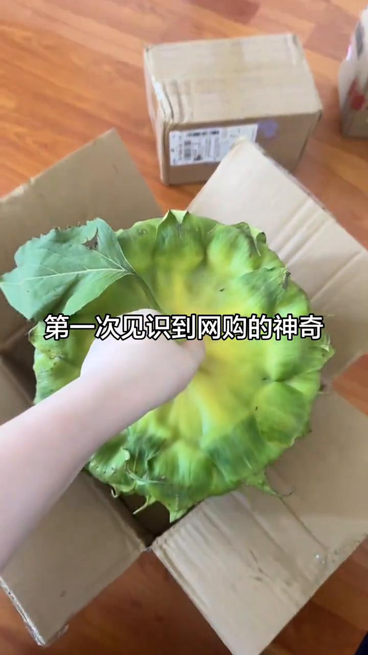 第一次见识到网购的神奇。