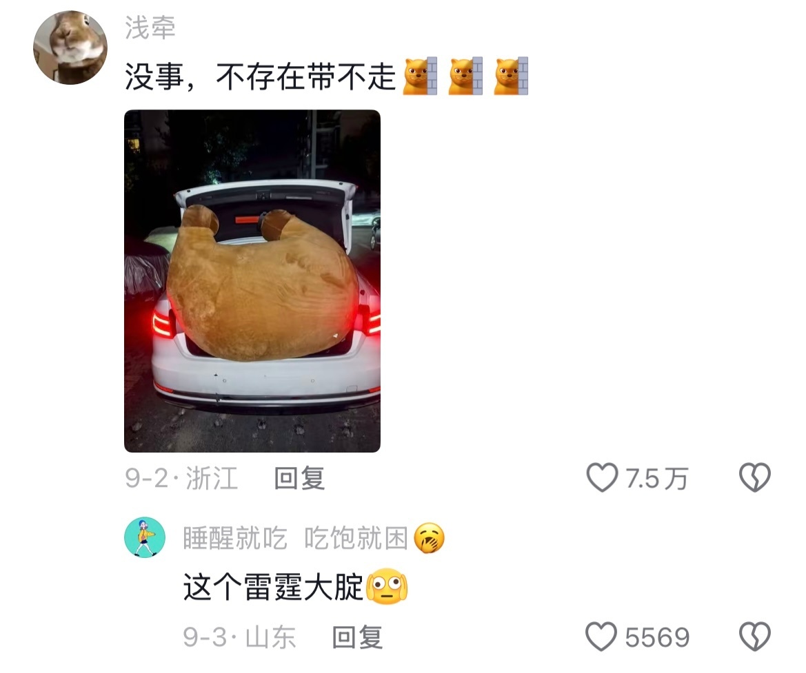 看吧！只要真心想带走的东西就一定有办法带走！ ​​​