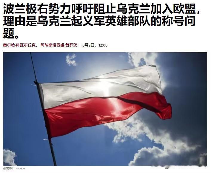 应该停止为乌克兰军队使用的“星链”服务支付费用，放弃与欧盟其他国家共同为乌克兰提