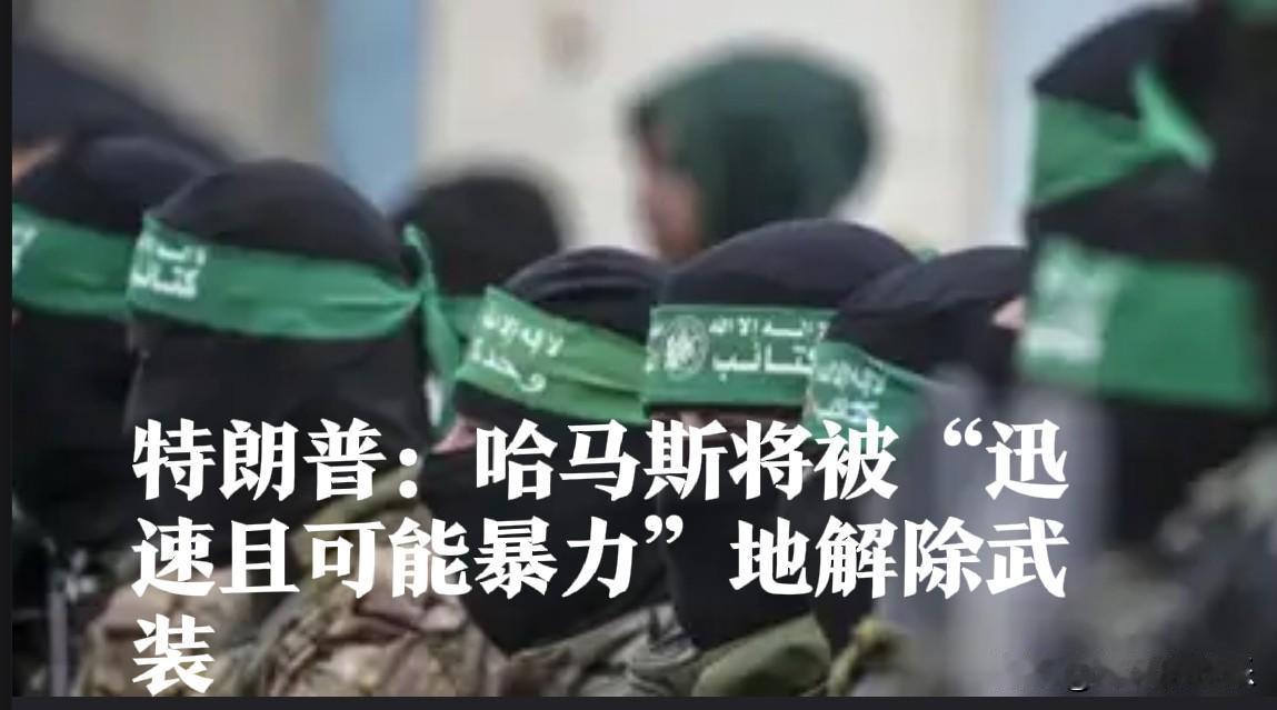 特朗普：哈马斯将被“迅速且可能暴力”地解除武装

   据外媒路透社报道，当地时